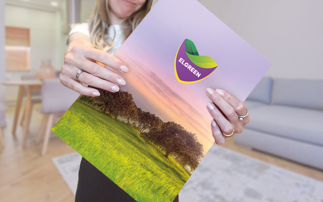 Vliv grafického designu na vnímání značky: Jak design buduje důvěru?